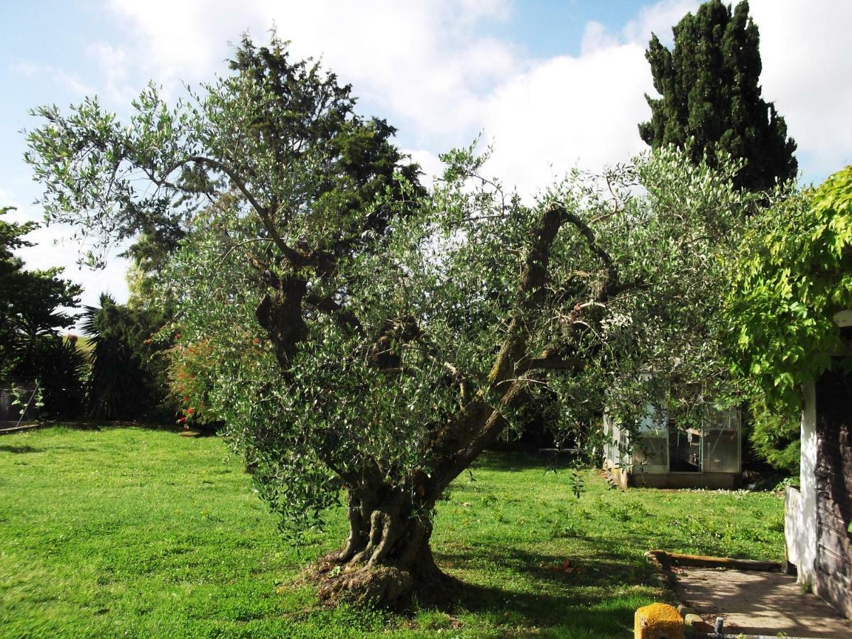 Poderi Di Tragliatella Exterior foto